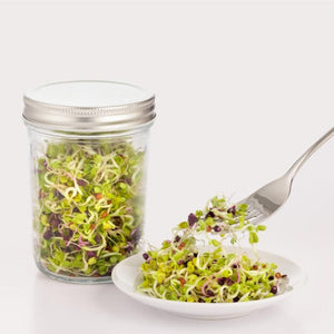 Kilner Sprouting Set